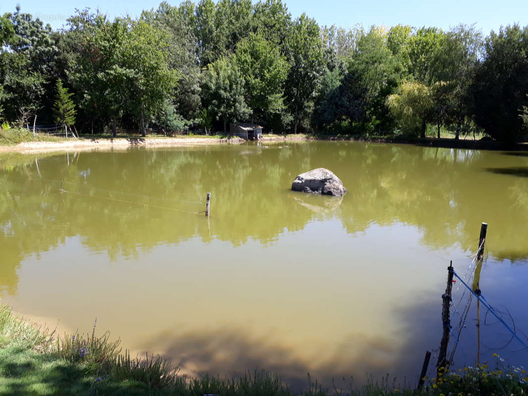 Terrain à AVRILLE