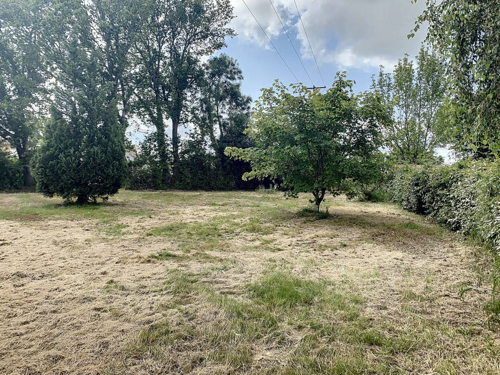 Terrain à TALMONT-SAINT-HILAIRE