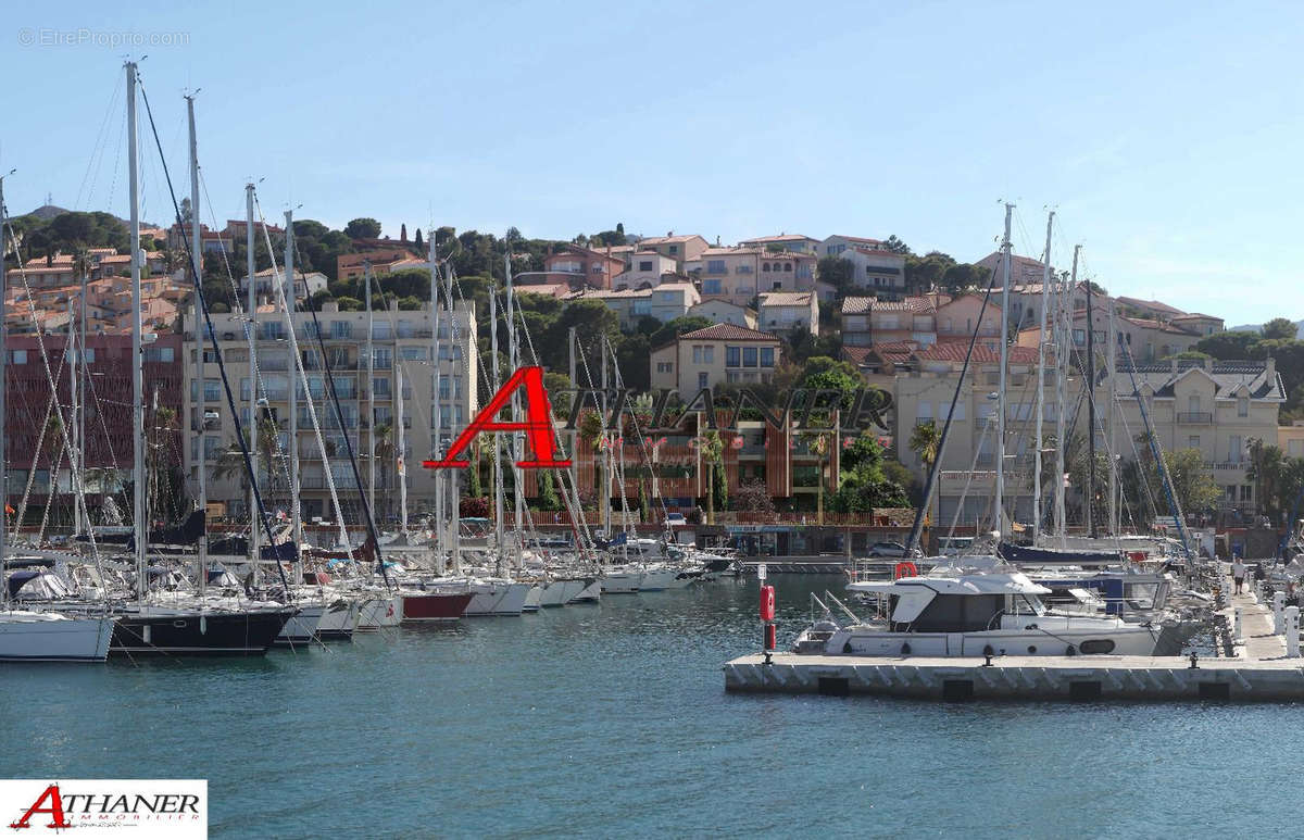 Appartement à BANYULS-SUR-MER