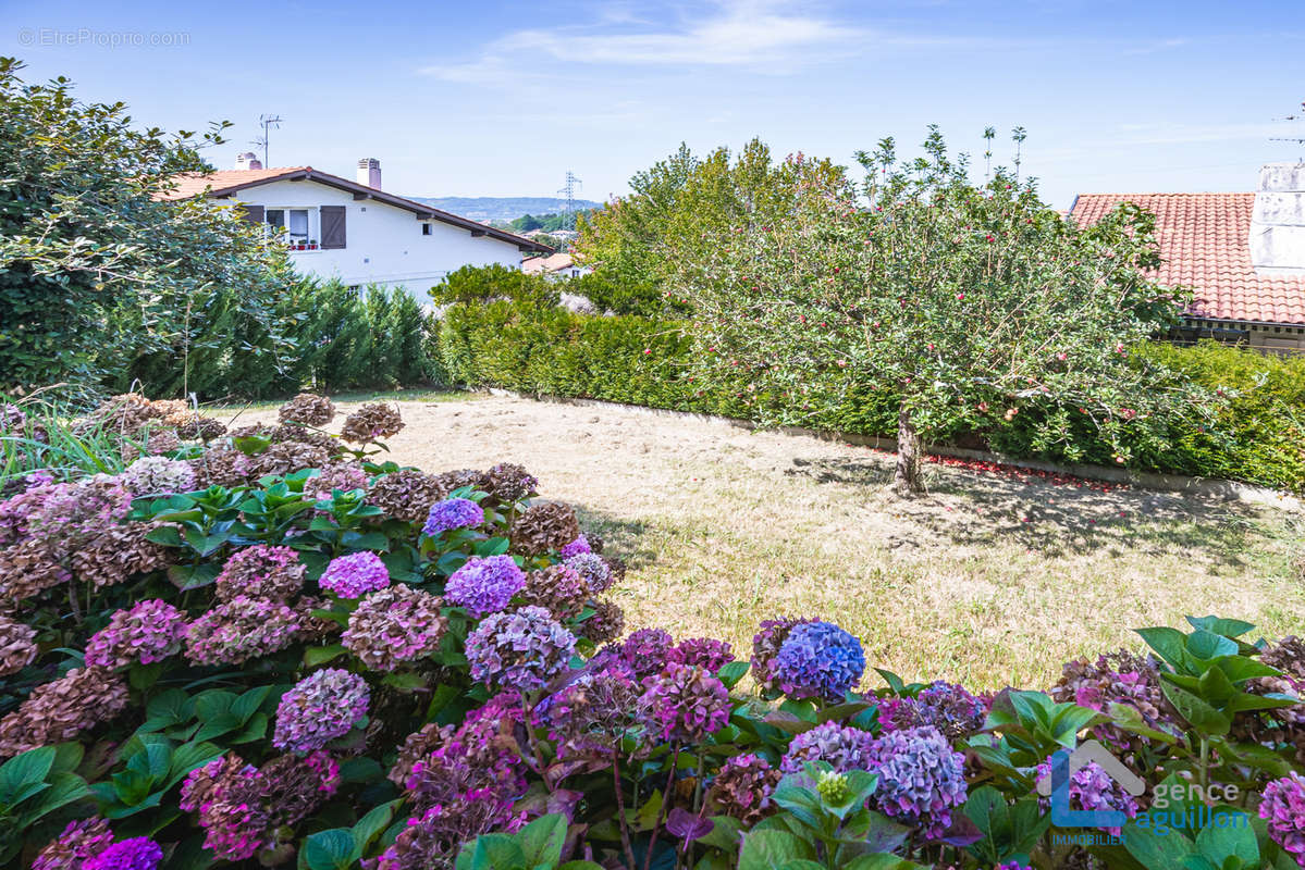 Maison à HENDAYE