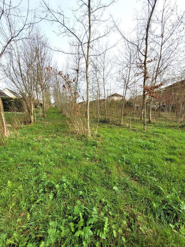 Terrain à MAISNIL-LES-RUITZ