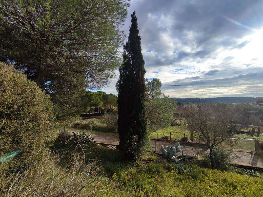 Terrain à CASTELNAU-DE-GUERS