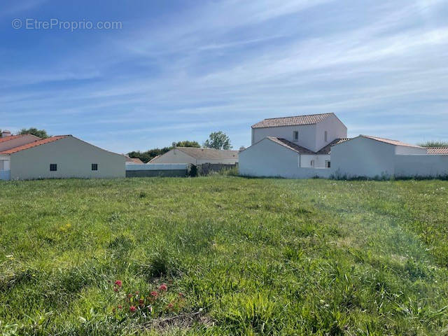 Terrain à SAINT-GILLES-CROIX-DE-VIE