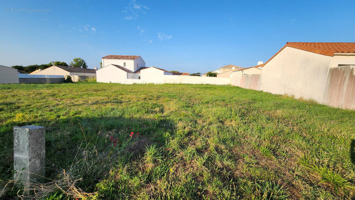 Terrain à SAINT-GILLES-CROIX-DE-VIE