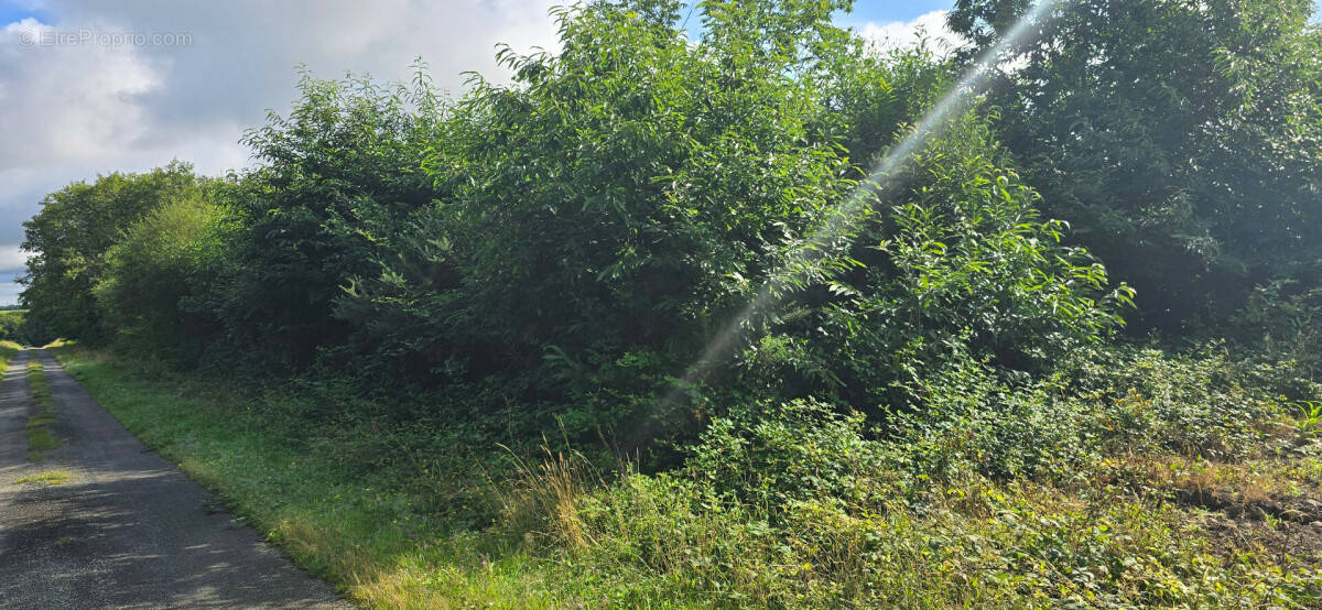 Terrain à BRUC-SUR-AFF