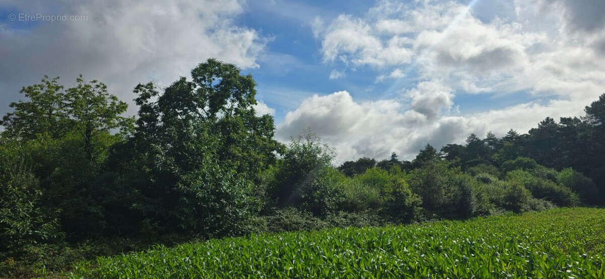 Terrain à BRUC-SUR-AFF