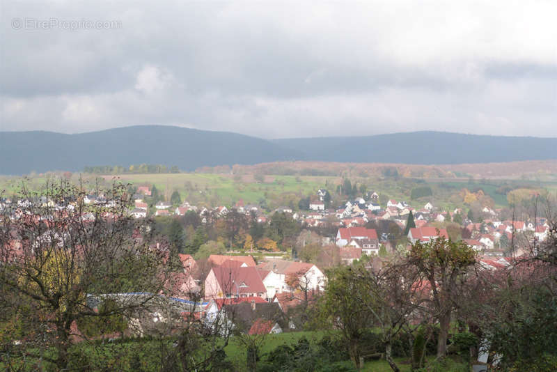 Terrain à REICHSHOFFEN