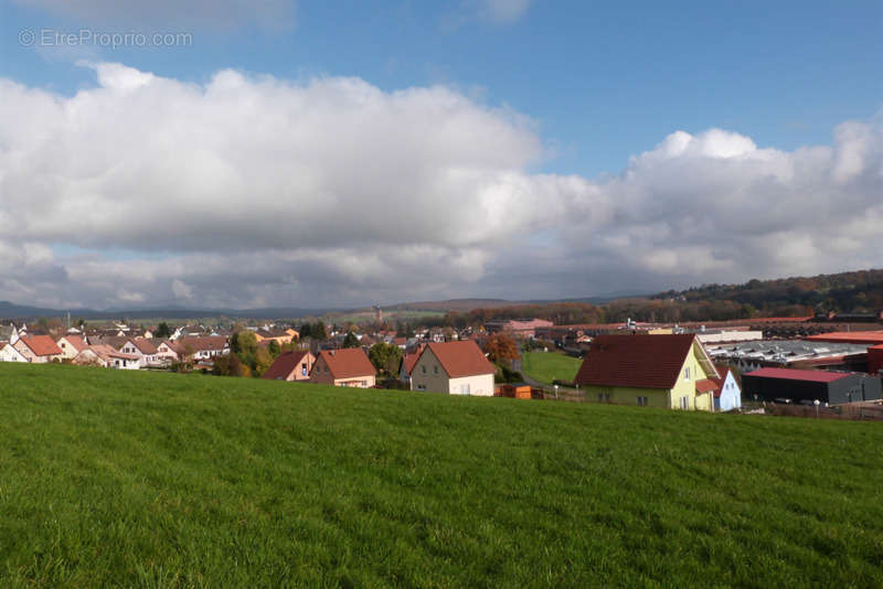 Terrain à REICHSHOFFEN