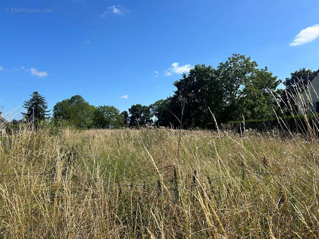 Terrain à SERVON