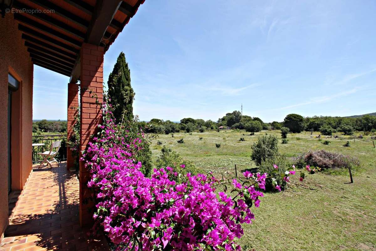 Photo 2 - Maison à ARGELES-SUR-MER