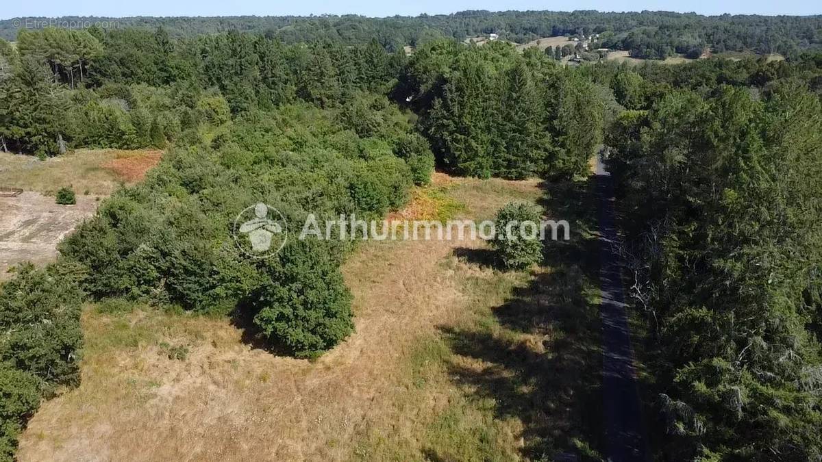 Terrain à NEUVIC