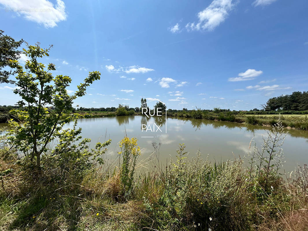 Terrain à POMPAIRE