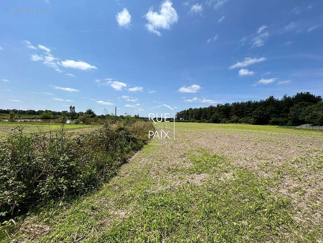 Terrain à POMPAIRE