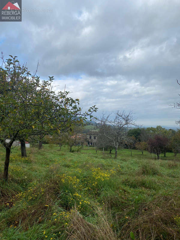 Terrain à AIGUEFONDE