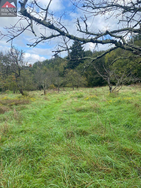 Terrain à AIGUEFONDE