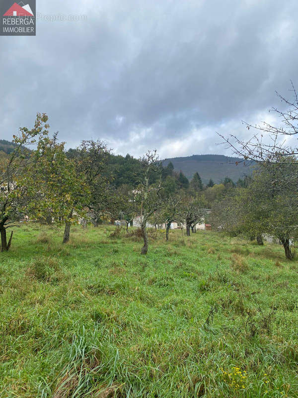 Terrain à AIGUEFONDE