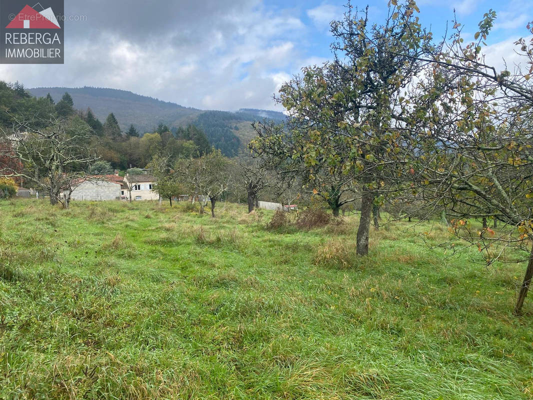 Terrain à AIGUEFONDE