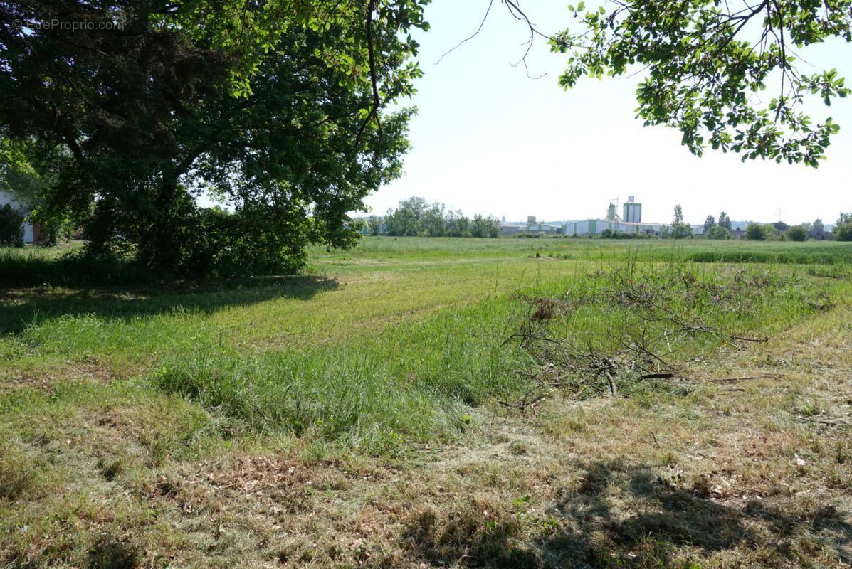 Terrain à PORTET-SUR-GARONNE