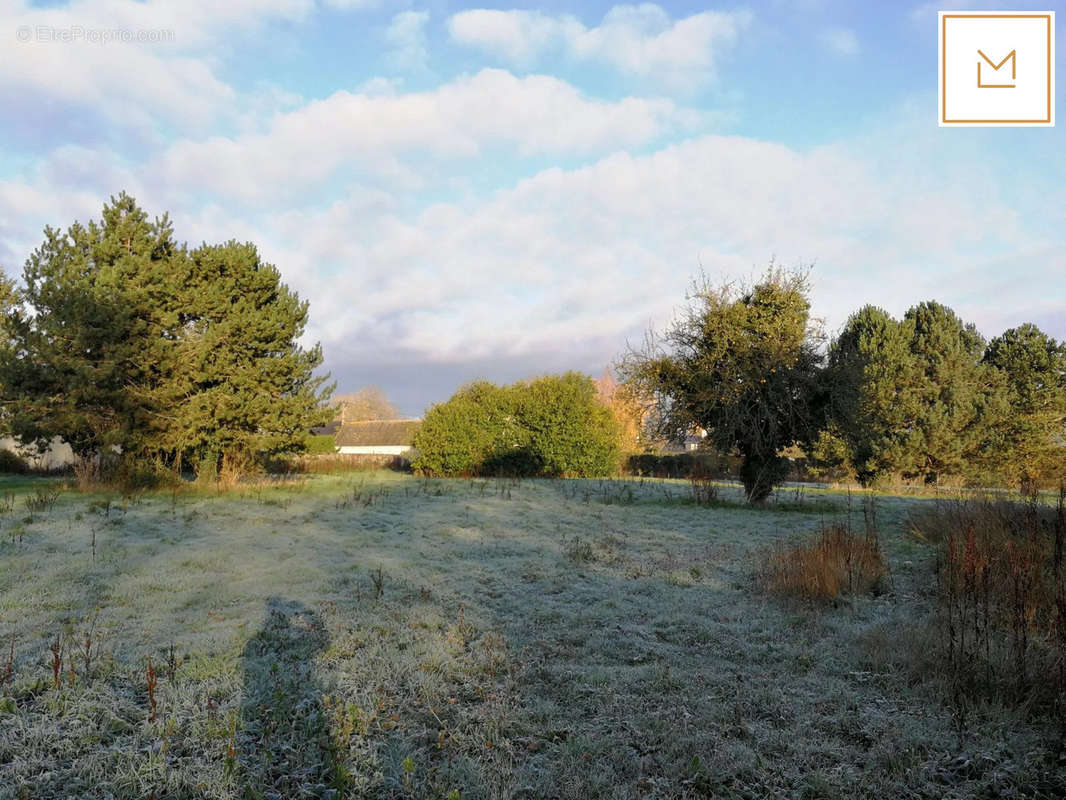 Terrain à SOMMERVIEU