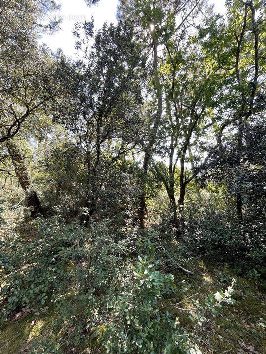 Terrain à SOULAC-SUR-MER