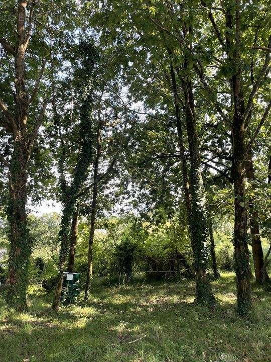 Terrain à SOULAC-SUR-MER