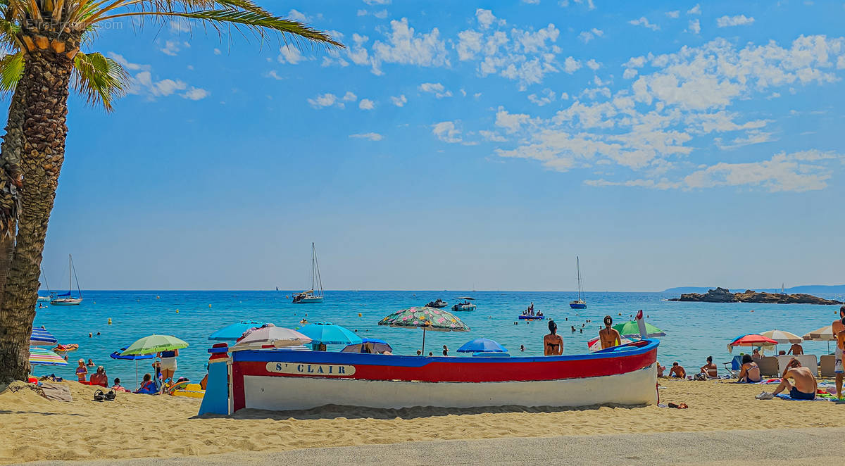 Commerce à LE LAVANDOU