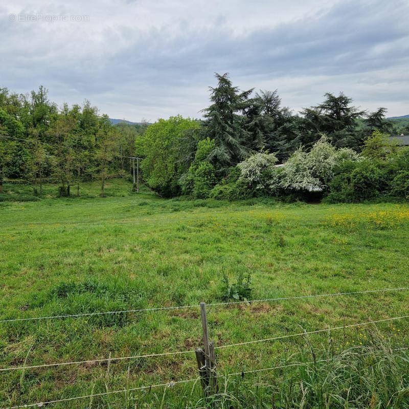 Terrain à SAINT-ROMAIN-D&#039;AY