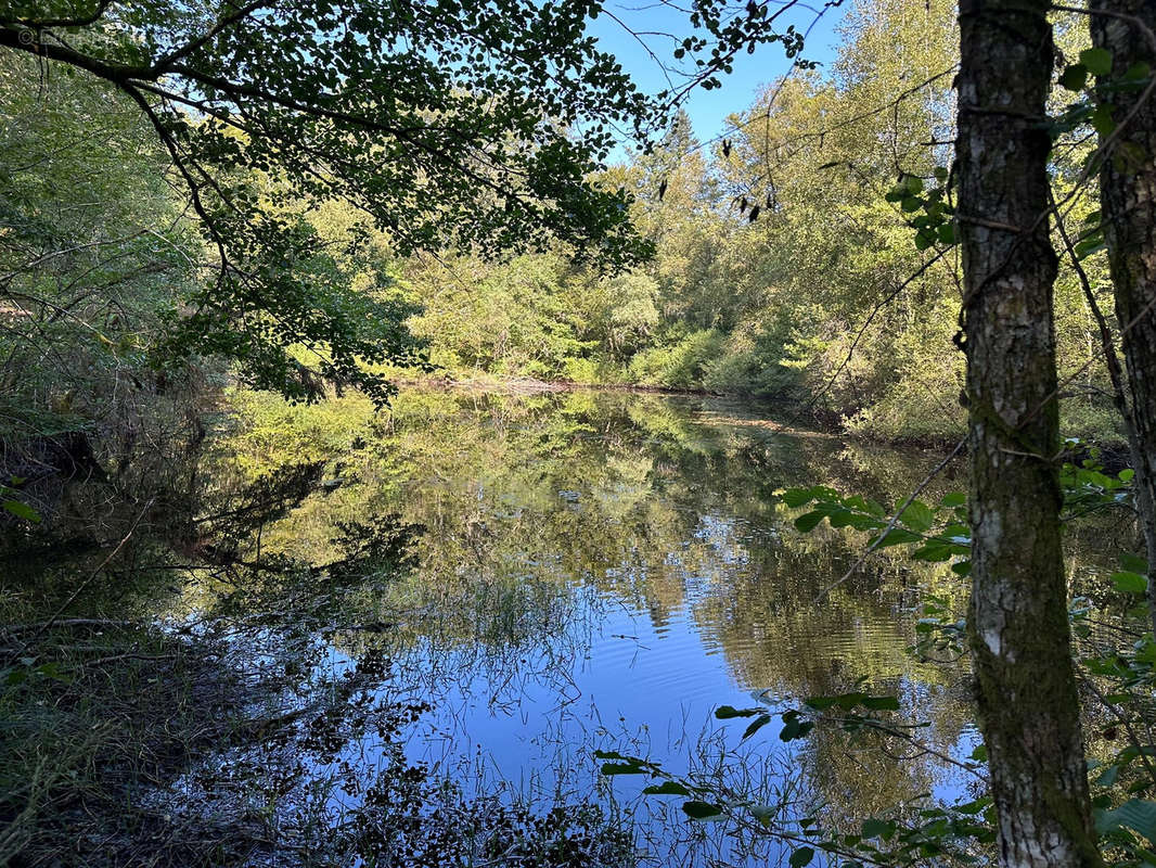 Terrain à FAUCOGNEY-ET-LA-MER