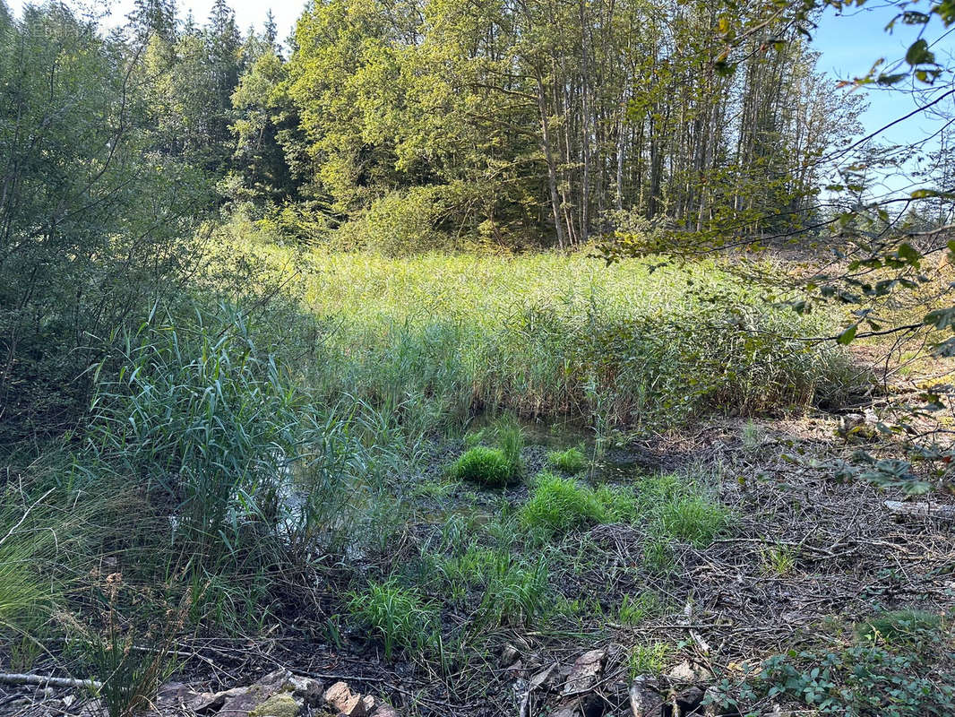 Terrain à FAUCOGNEY-ET-LA-MER