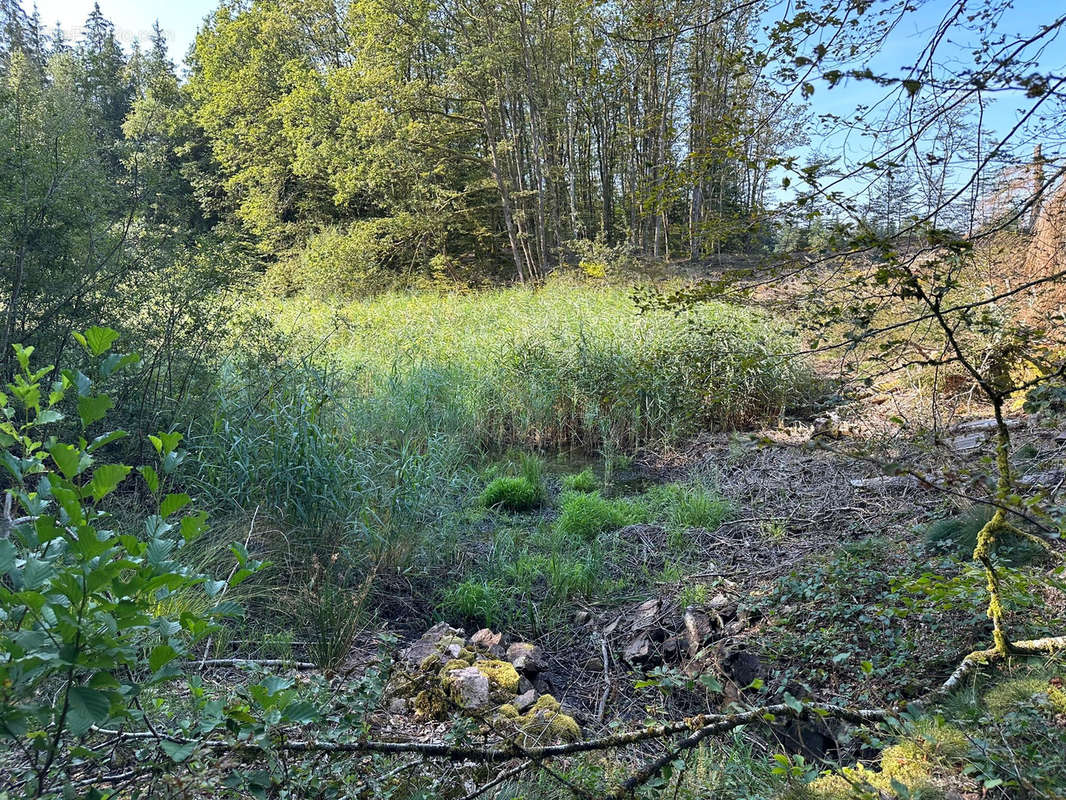 Terrain à FAUCOGNEY-ET-LA-MER