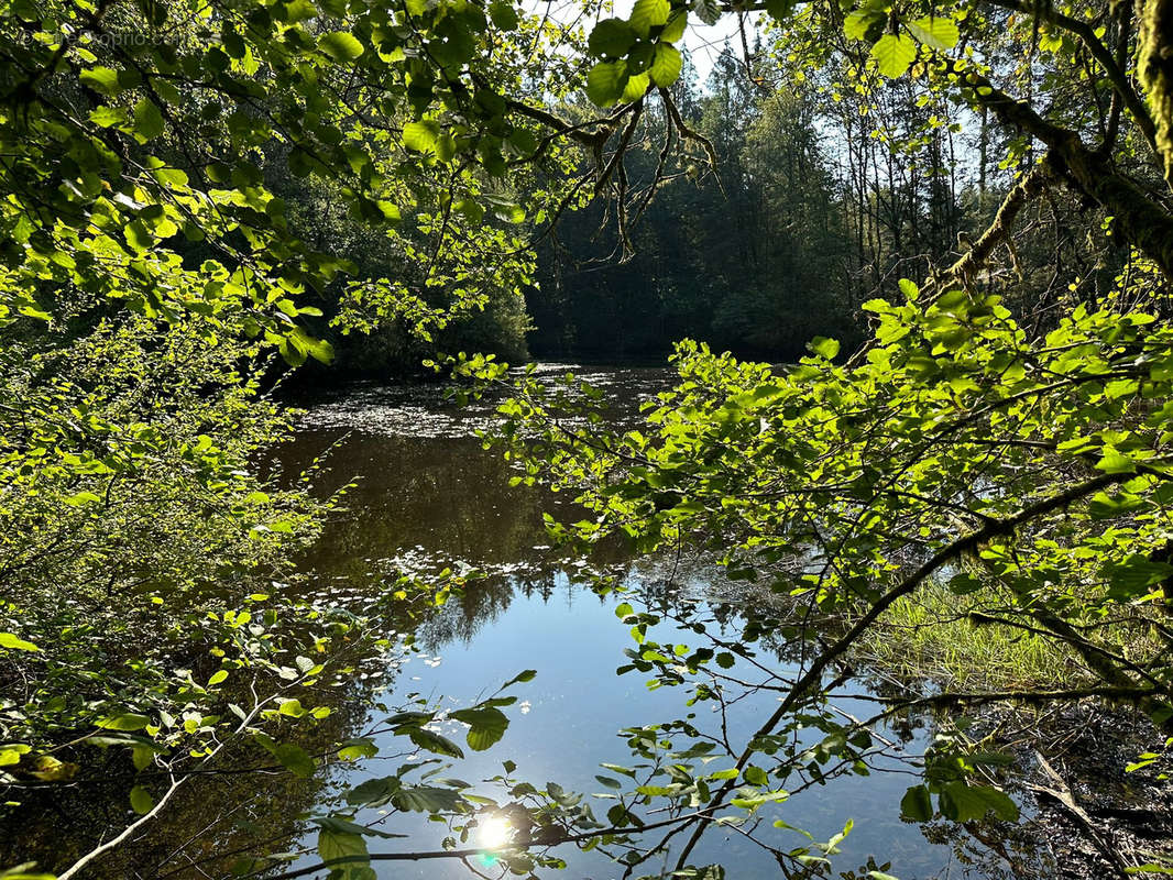 Terrain à FAUCOGNEY-ET-LA-MER