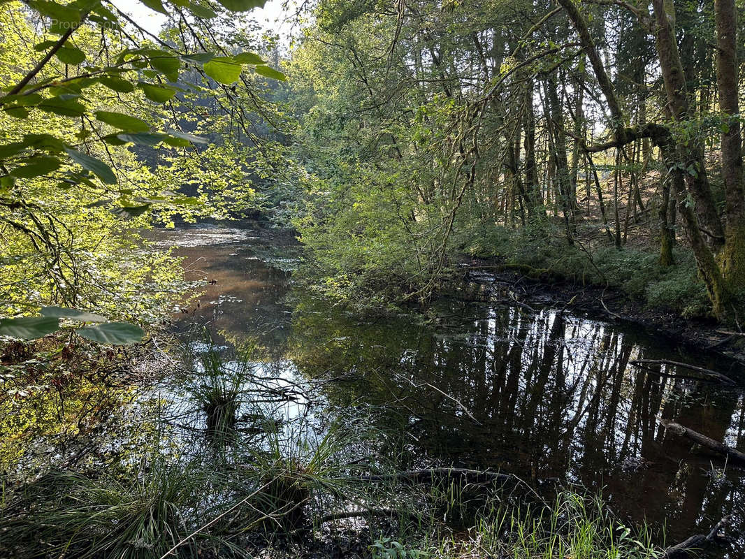 Terrain à FAUCOGNEY-ET-LA-MER