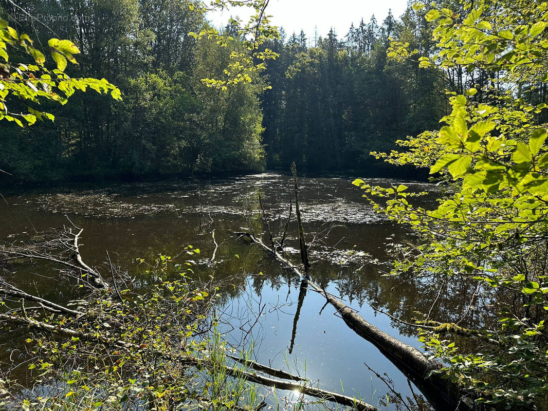 Terrain à FAUCOGNEY-ET-LA-MER