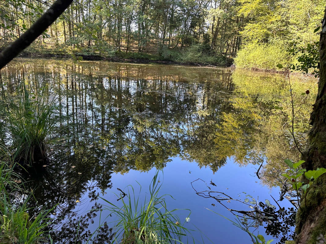 Terrain à FAUCOGNEY-ET-LA-MER