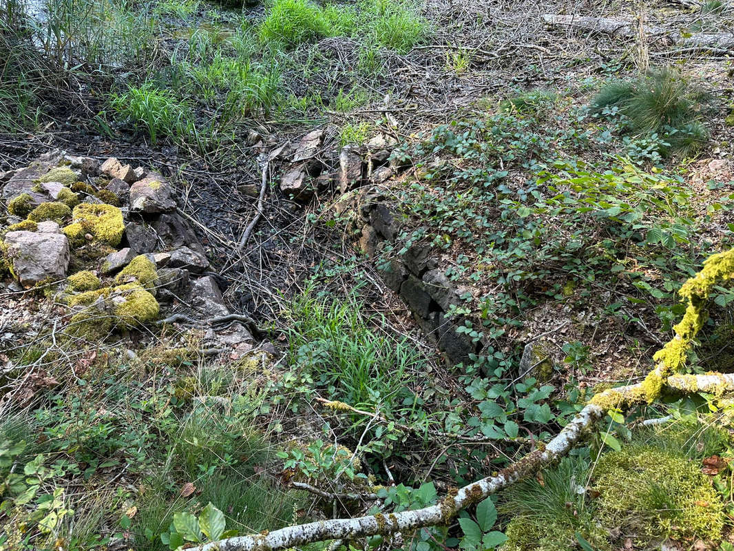 Terrain à FAUCOGNEY-ET-LA-MER