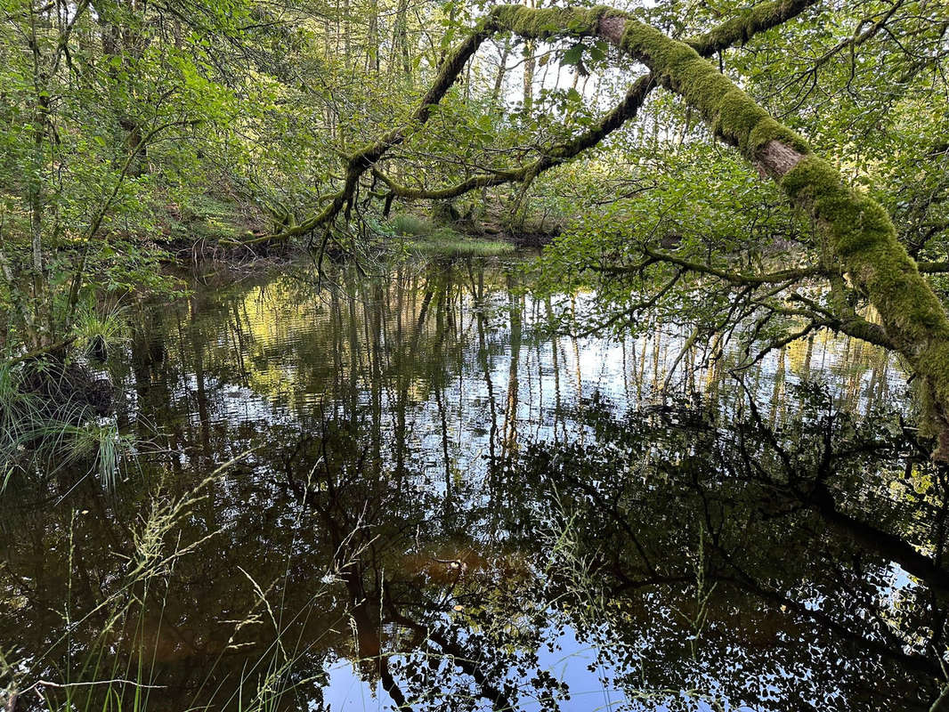 Terrain à FAUCOGNEY-ET-LA-MER