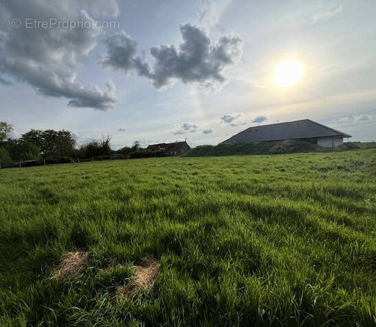 Terrain à FLINES-LES-MORTAGNE