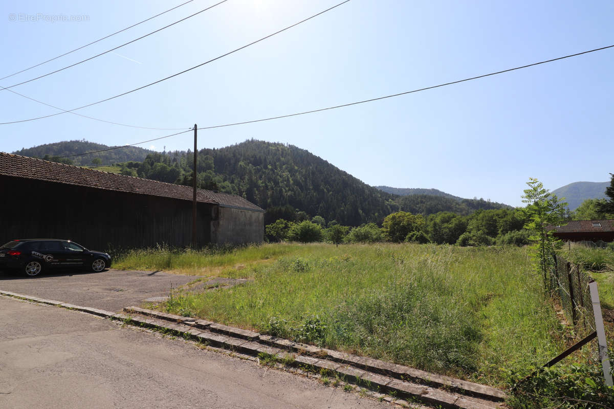 Terrain à MOLLAU