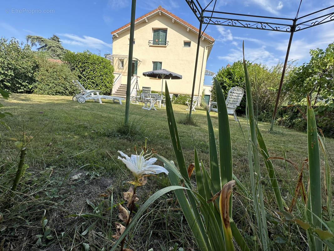 Maison à BAS-EN-BASSET