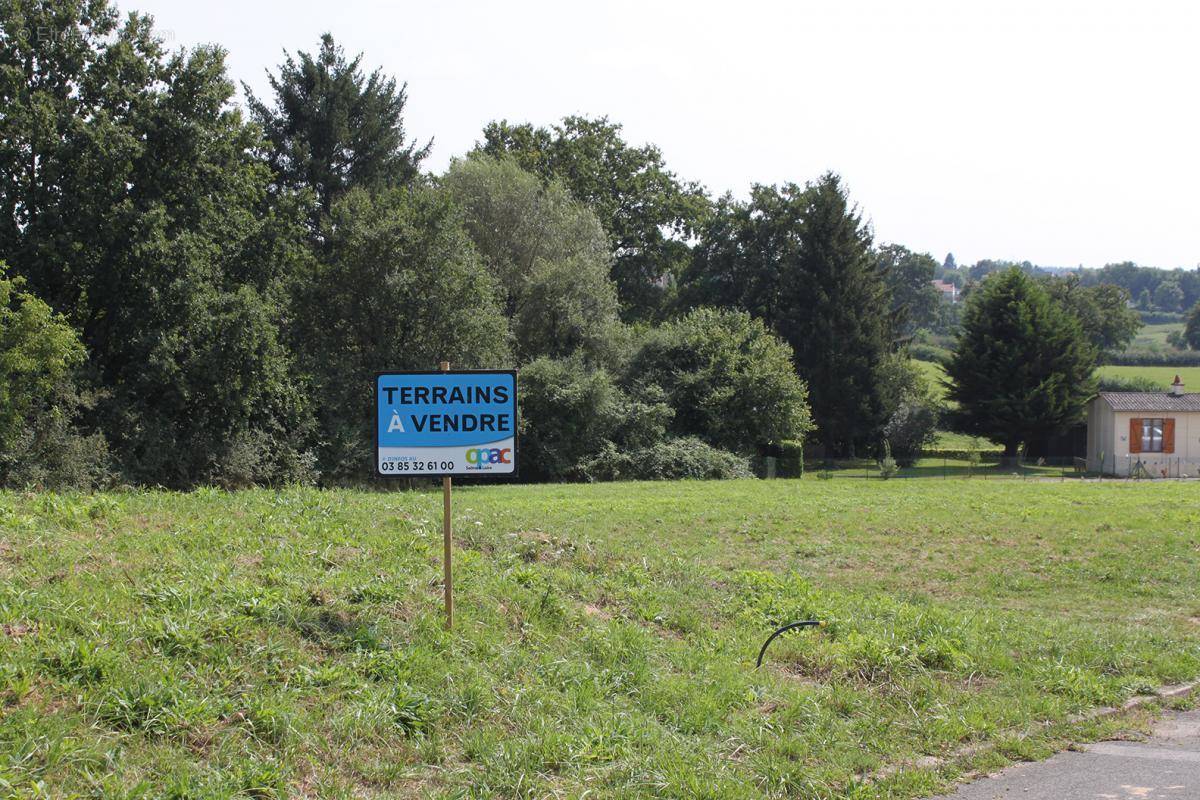 Terrain à MONTCEAU-LES-MINES