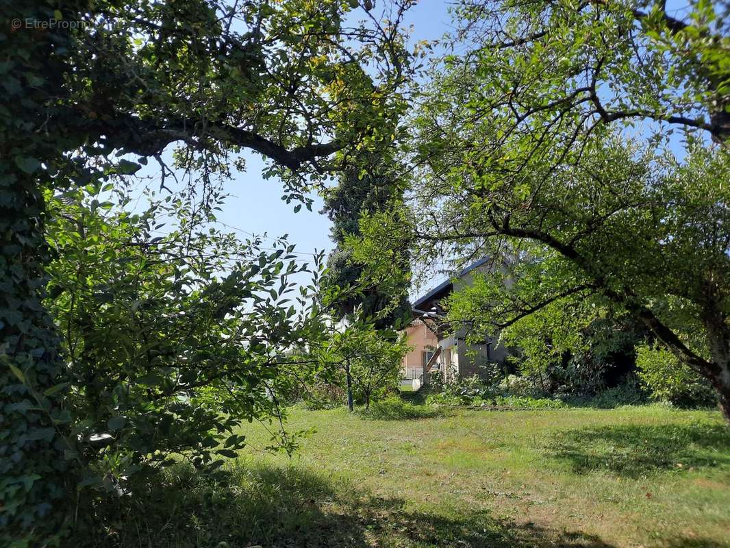 Maison à BALDERSHEIM