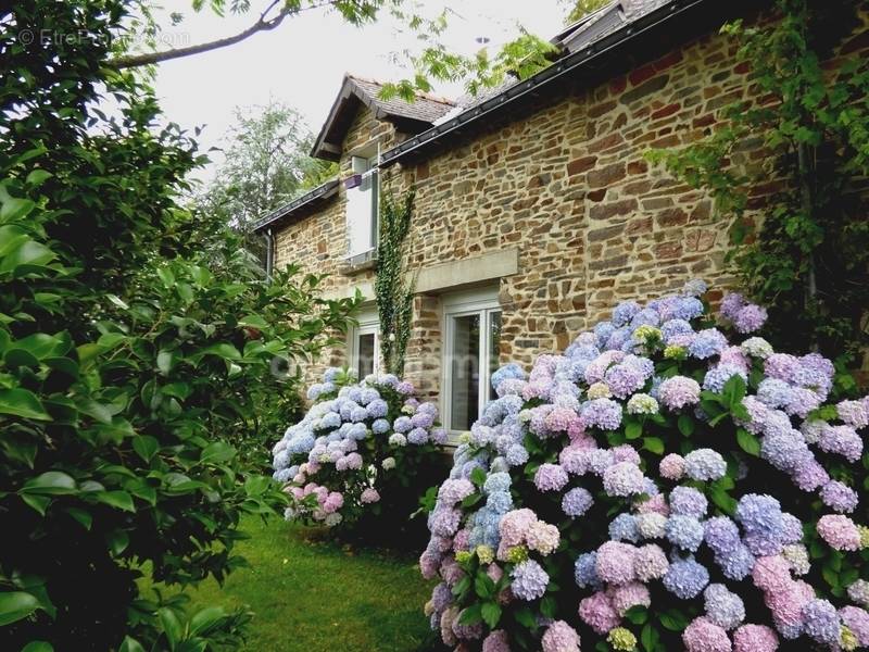 Maison à SAINT-NICOLAS-DE-REDON