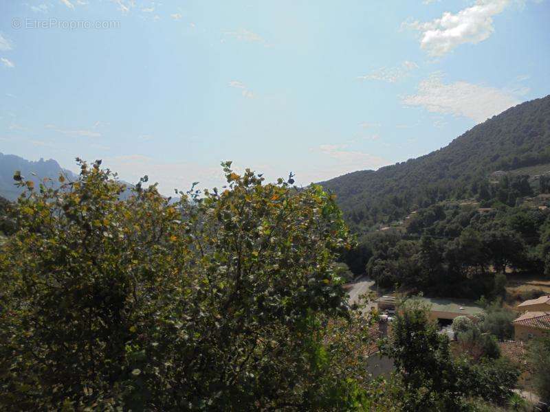 Terrain à VICO