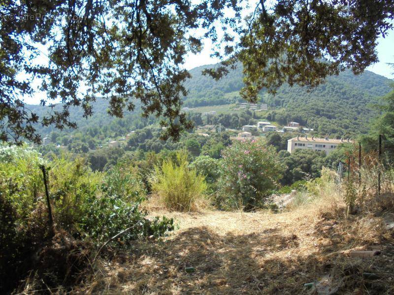 Terrain à VICO