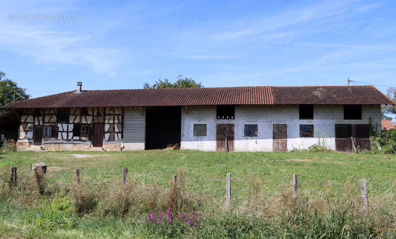 Maison à MONTPONT-EN-BRESSE