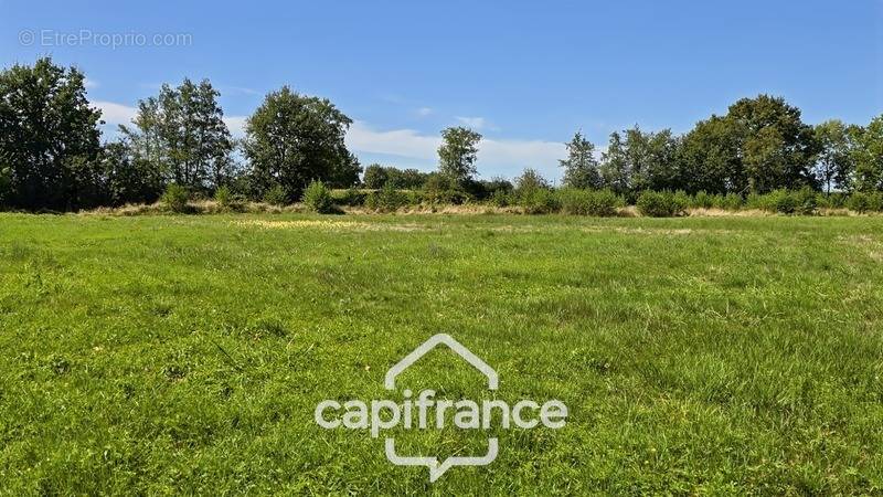 Terrain à SAINT-GERMAIN-DU-BOIS