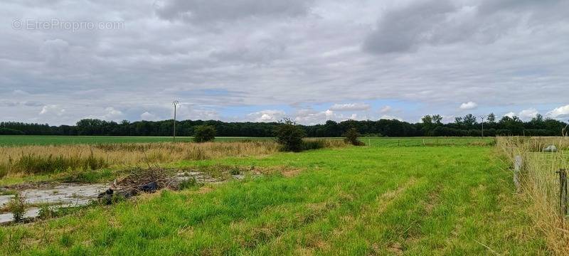 Terrain à FLINES-LES-MORTAGNE