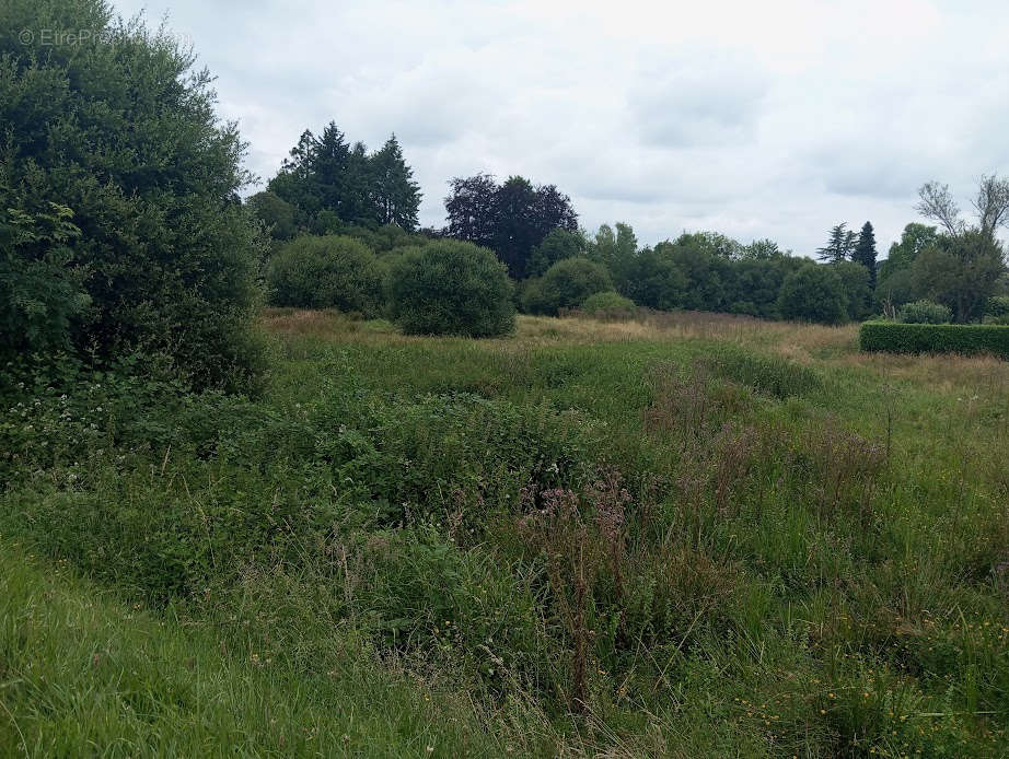 Terrain à SAINT-YRIEIX-LA-PERCHE