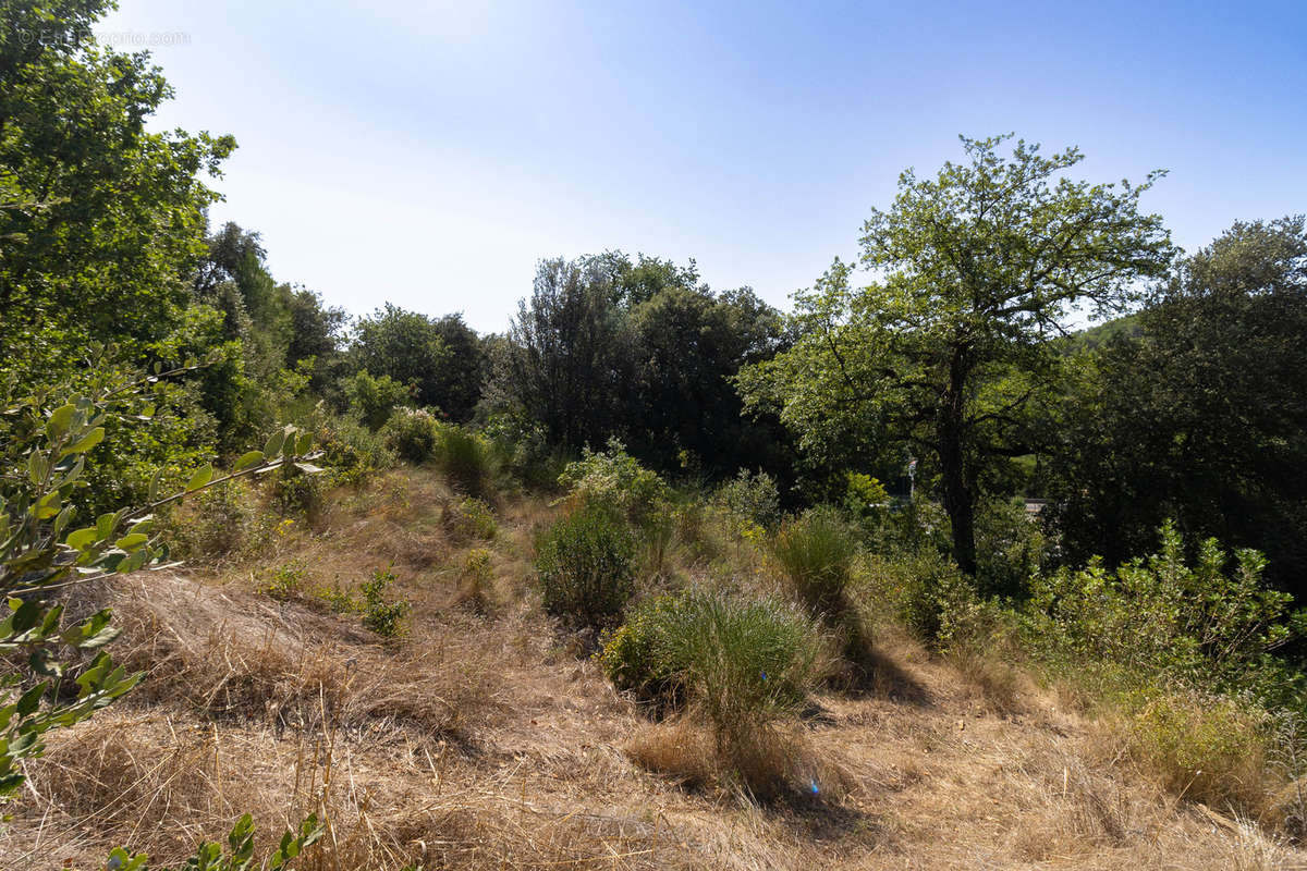 Terrain à BARJOLS