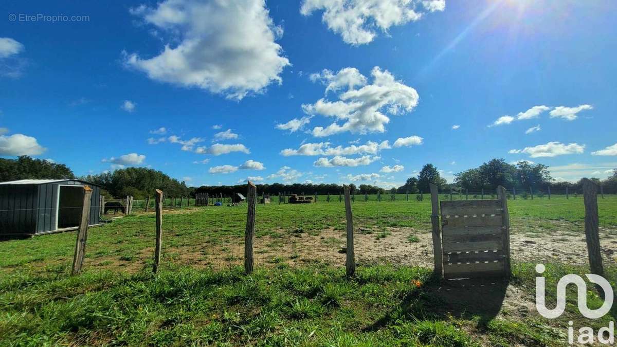 Photo 5 - Maison à ARCAY